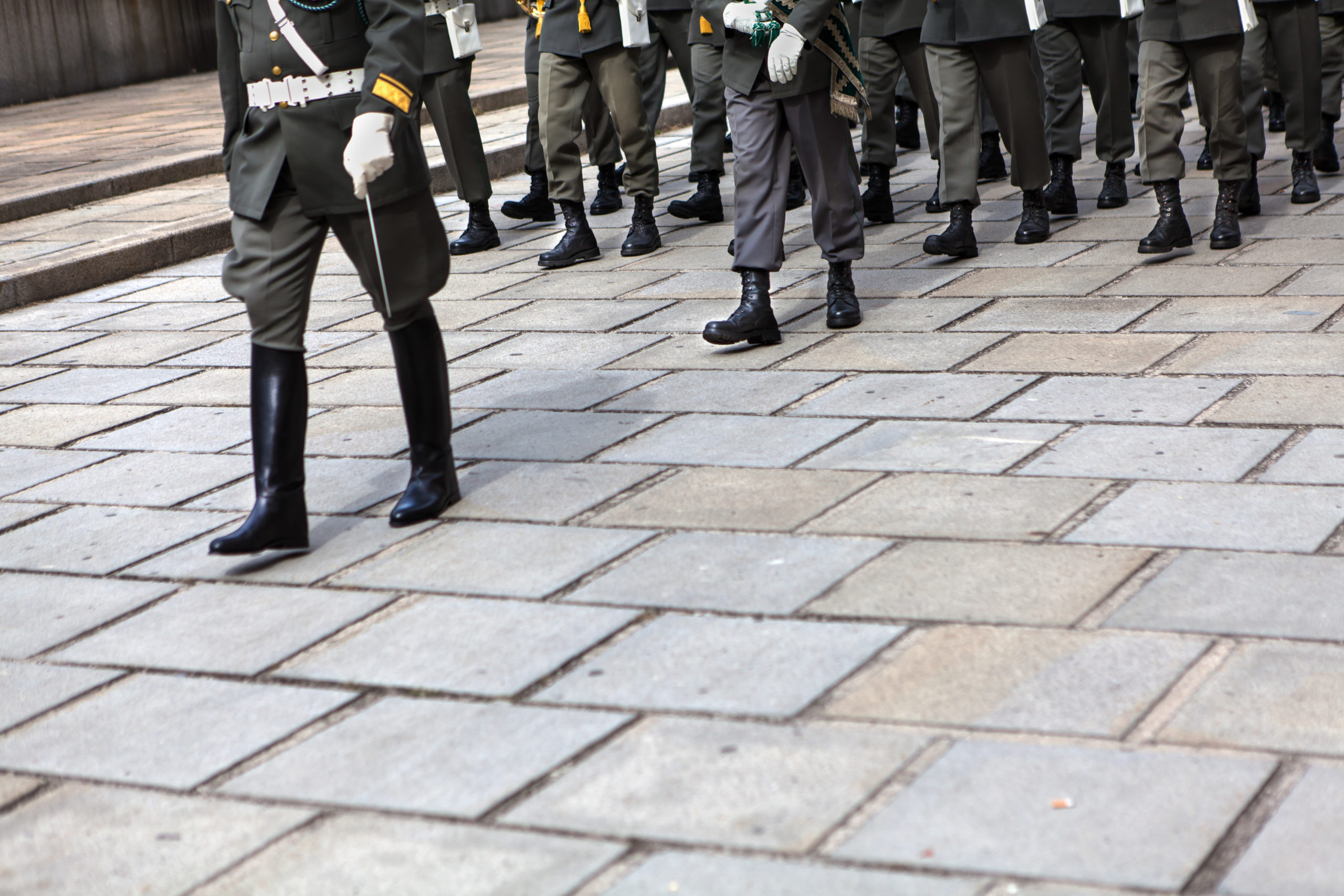 Honour Guard for the German President, Vienna, Austria